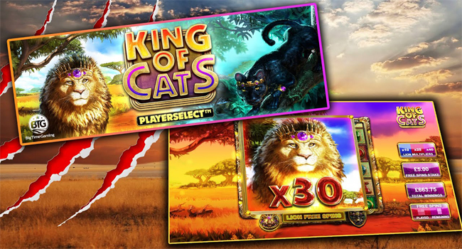 King of Cats Megaways